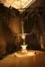 ZIMG_7373
